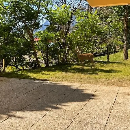 Appartamento Haydn Garden & Terrace